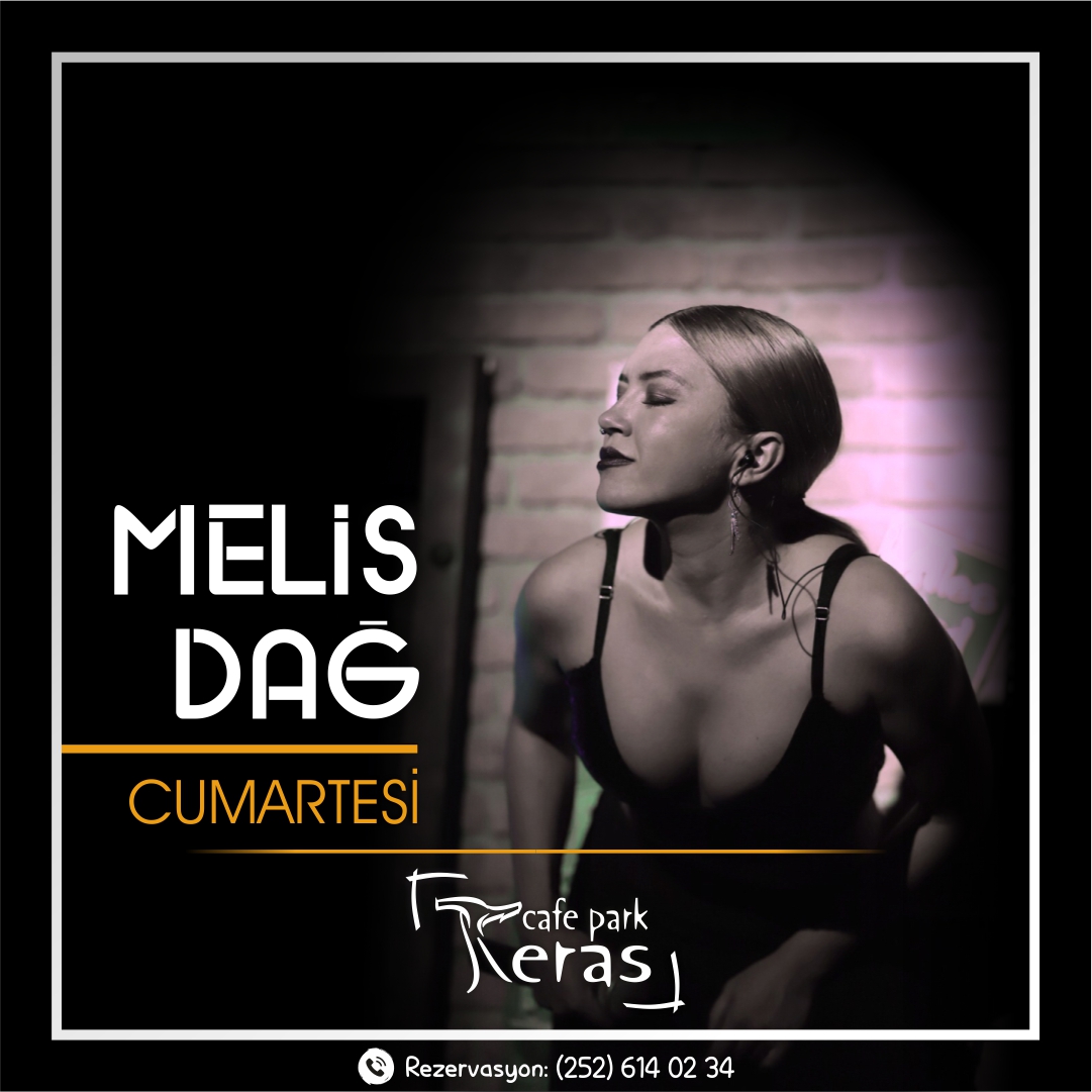 melis web dd