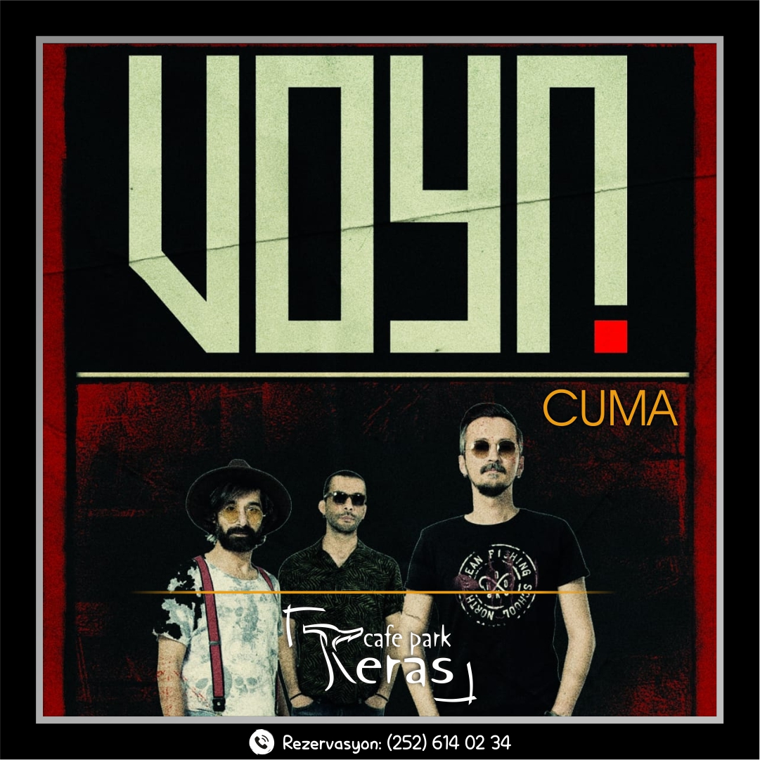 voyn web dd